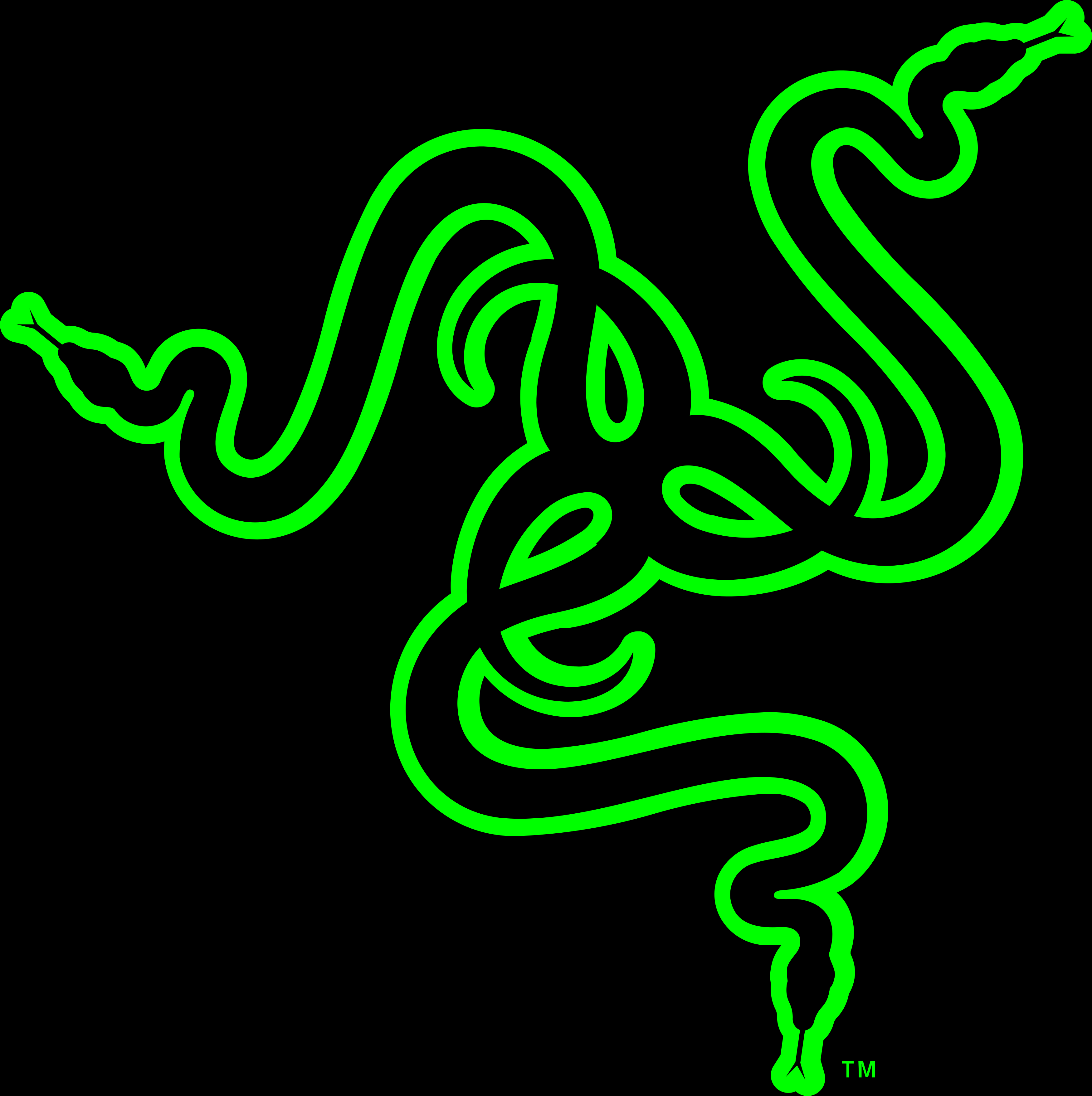 razer logo.