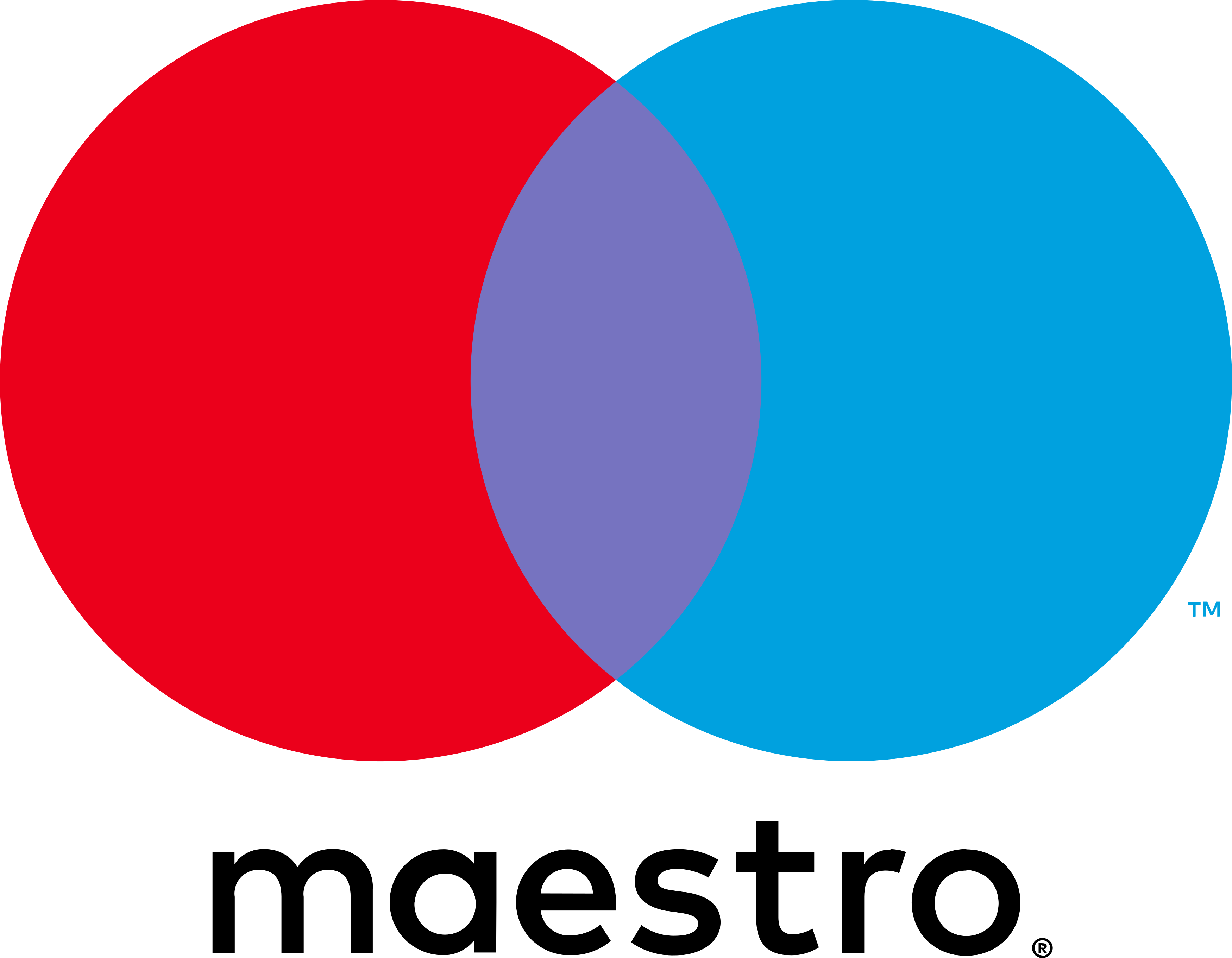 Mastercad Maestro Logo.