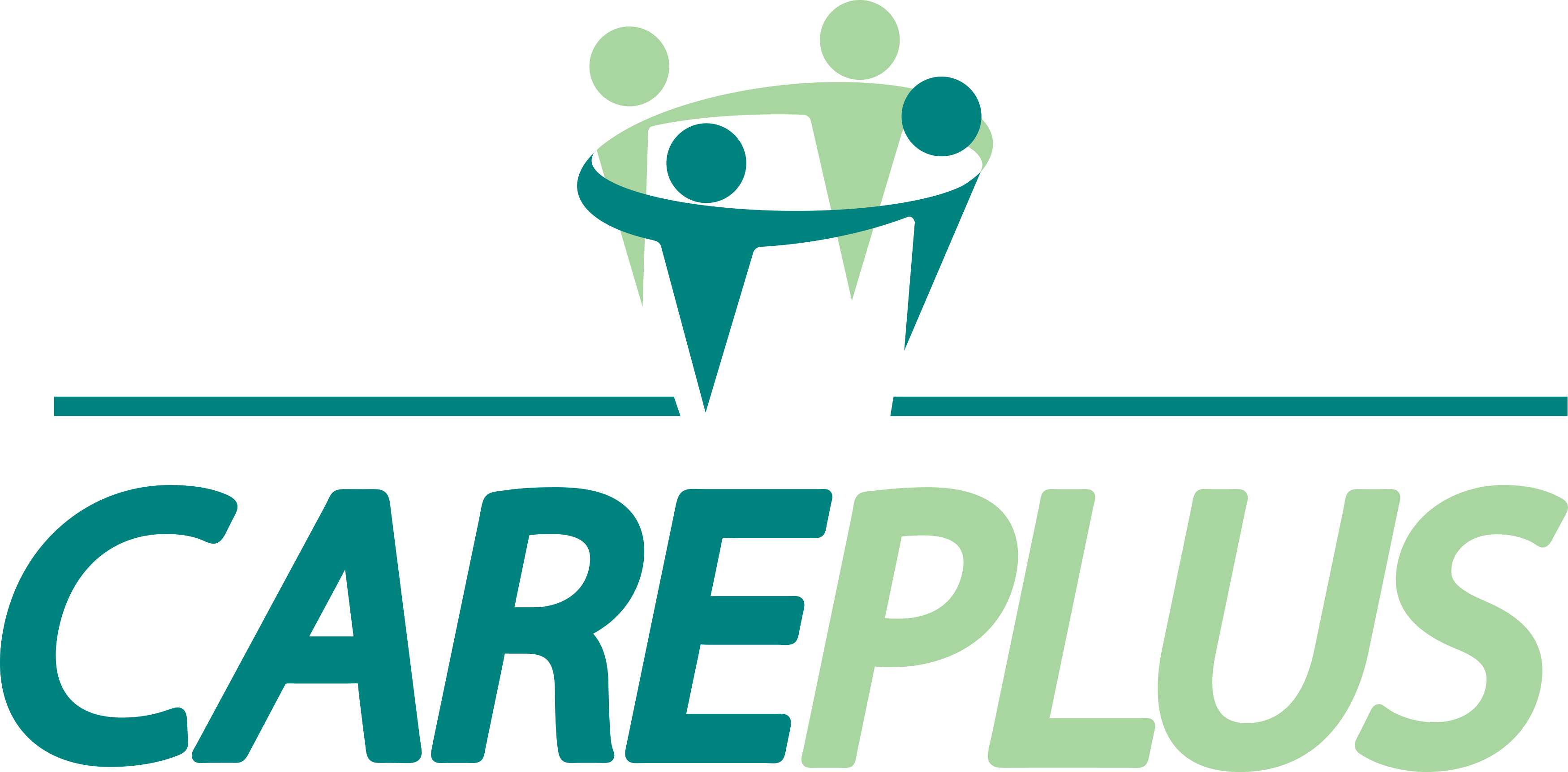 Care Plus Logo.